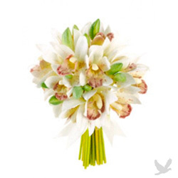 Cymbidium Orchid Bouquet Mini orchid bouquet with green and white orchids.