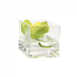 Square Glass Vase Small square shaped glass vase.