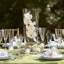 Tropical Orchid Centerpiece Set Centerpiece set with tropical orchid theme.