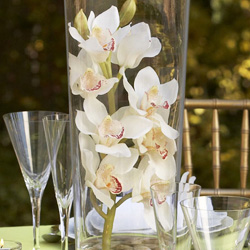 Tropical Orchid Spray Cymbidium orchid spray