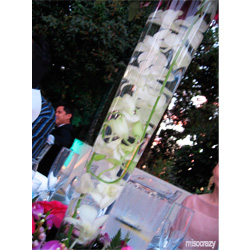 Orchid Centerpiece Idea 2 Vase with white orchids in water.