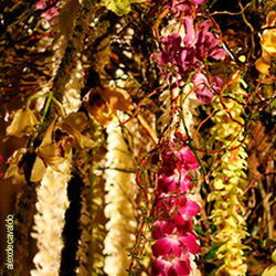 Orchid Decoration Idea 1 Orchid garland decorations.