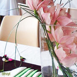 Orchid Centerpiece Idea 1 Orchids in a vase.
