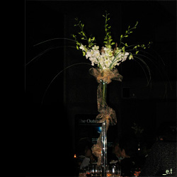 Orchid Centerpiece Idea 3 White orchids in a tall centerpiece.