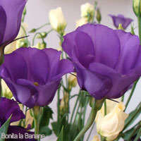 Purple Wedding Flowers - Lisianthus