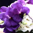 purple-wedding-bouquets-thb purple-wedding-bouquets-thb