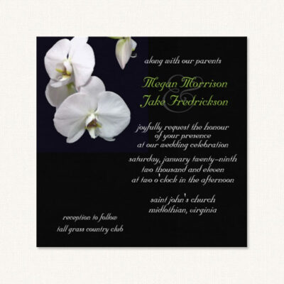 Orchids wedding invitations with white orchids on a black background.